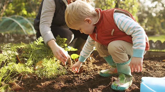 Young boy helping to plant seeds